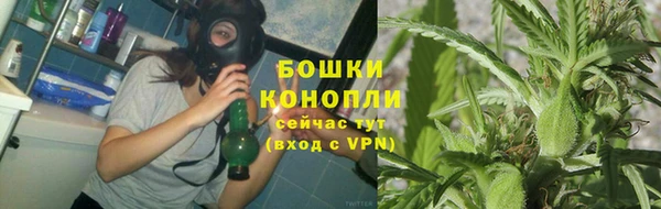 PSILOCYBIN Абаза
