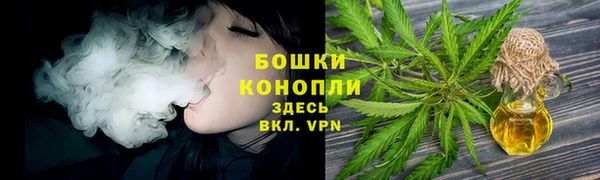 крисы Новодвинск