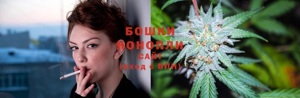 PSILOCYBIN Абаза