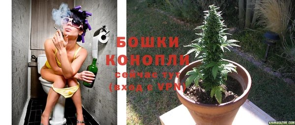 PSILOCYBIN Абаза