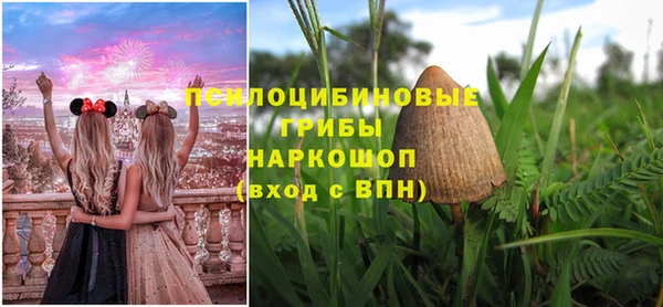 apvp Абдулино