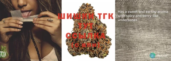 PSILOCYBIN Абаза