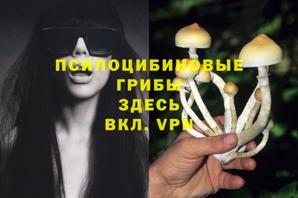 PSILOCYBIN Абаза