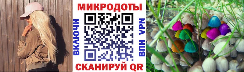 закладка  Шарыпово  Галлюциногенные грибы ЛСД 